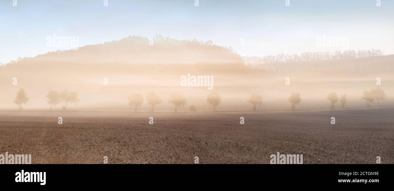 Muddy Spring Morning Beautiful spring morning. Spring misty morning in meadow with trees ...