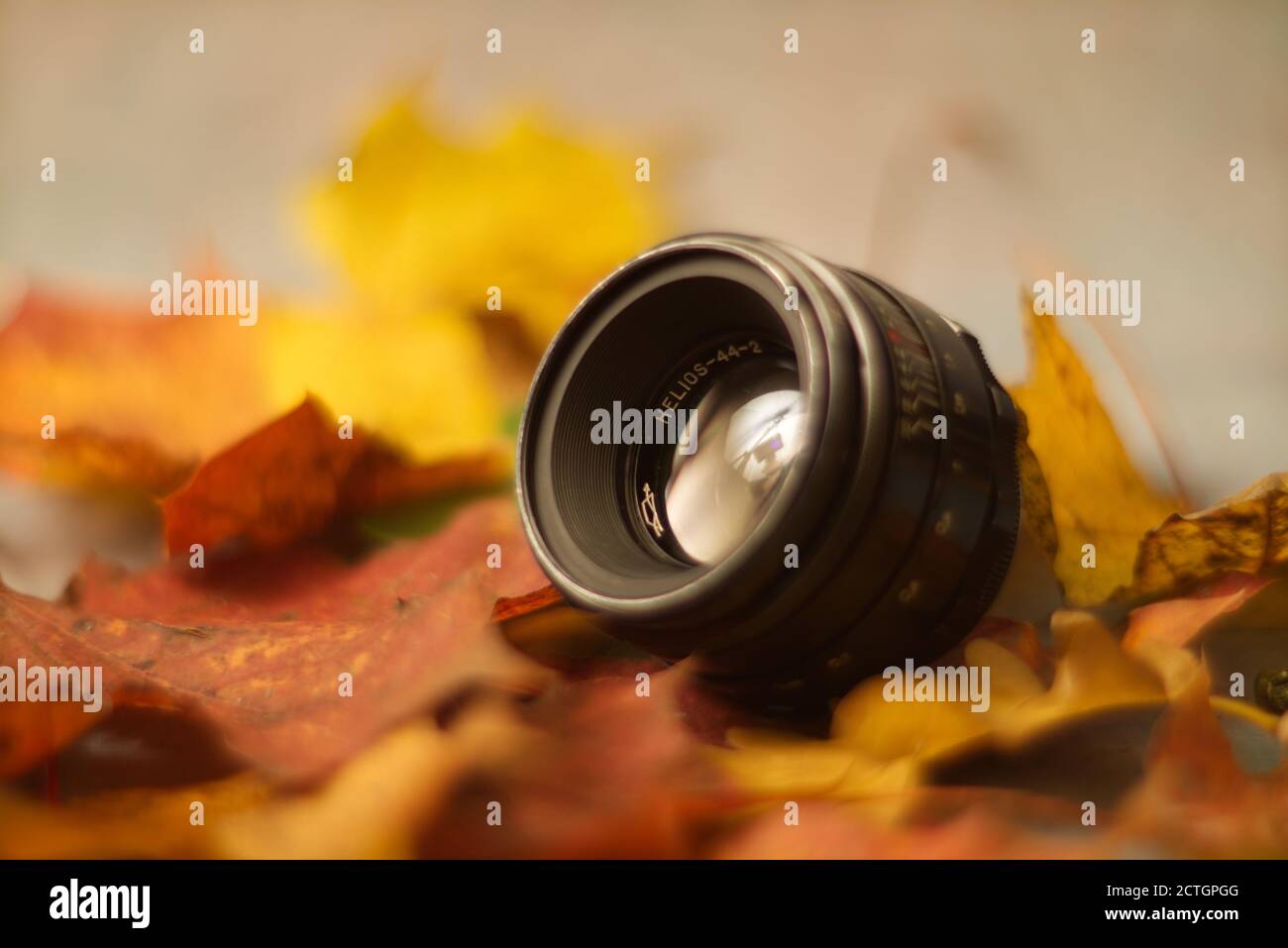 Autumn Lens Stock Photo