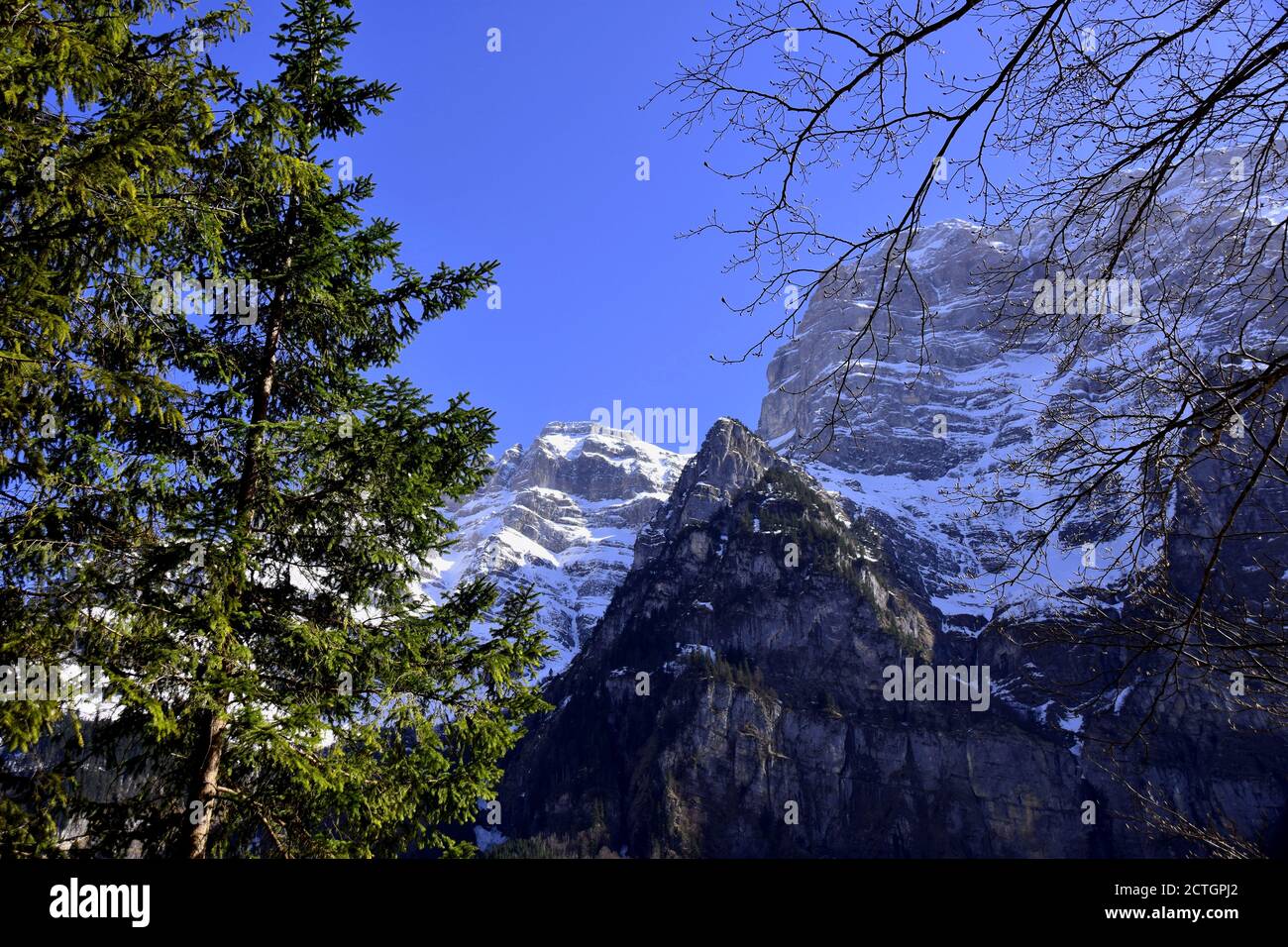 Panorama of Alps covered with snow behind the branches of trees close to Klöntalersee lake in Klöntal, Kloental valley, during sunny spring day, Stock Photo