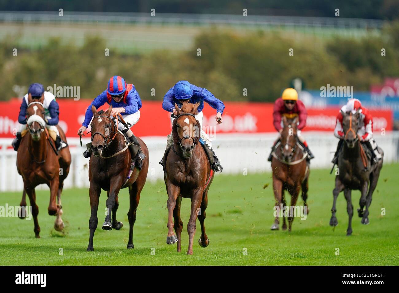 James Doyle riding Act Of Wisdom (centre) win The Download The tote Placepot App Future Stayers' EBF Maiden Stakes at Goodwood Racecourse. Stock Photo
