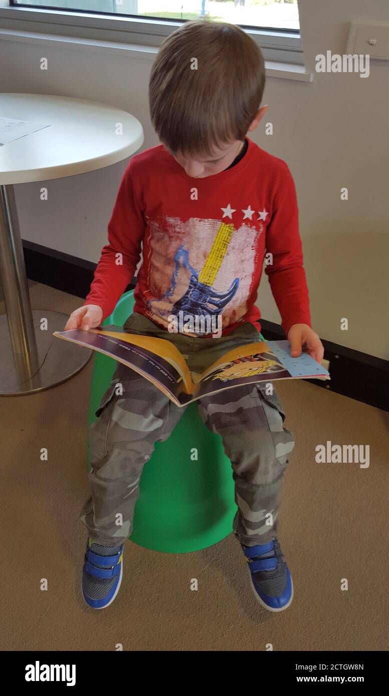 A young boy reading a book. Stock Photo