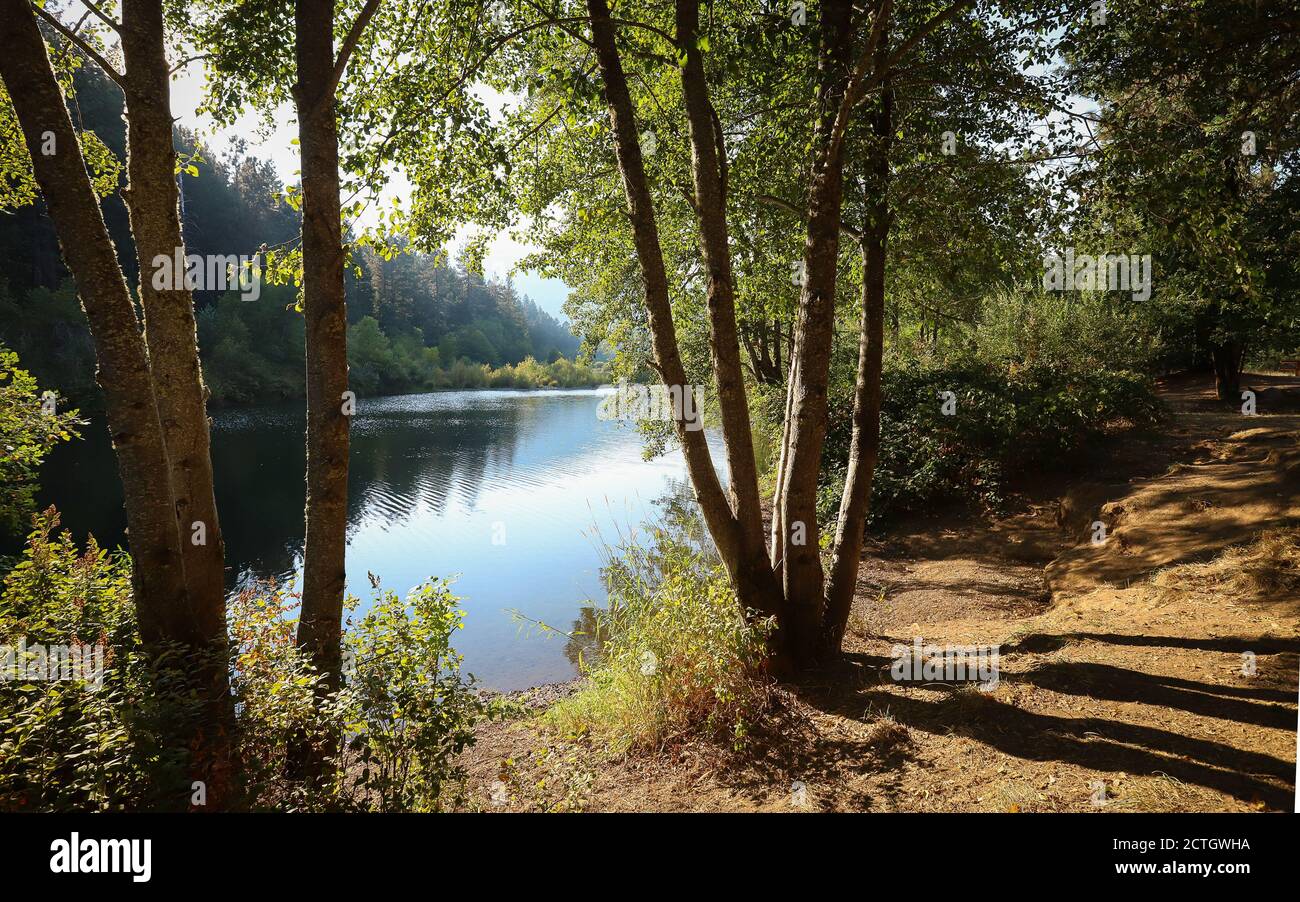 CAVE JUNCTION, OREGON, UNITED STATES - Aug 11, 2018: Looking at Illinois River through the trees at Illinois River State Park in Southern Oregon. Stock Photo