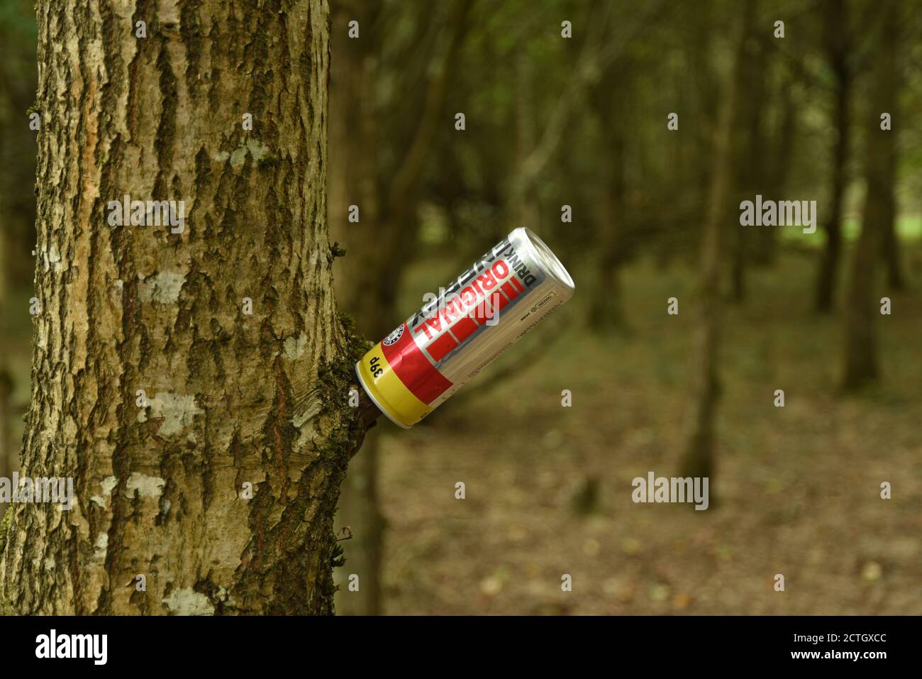 Litter left in the woods Stock Photo