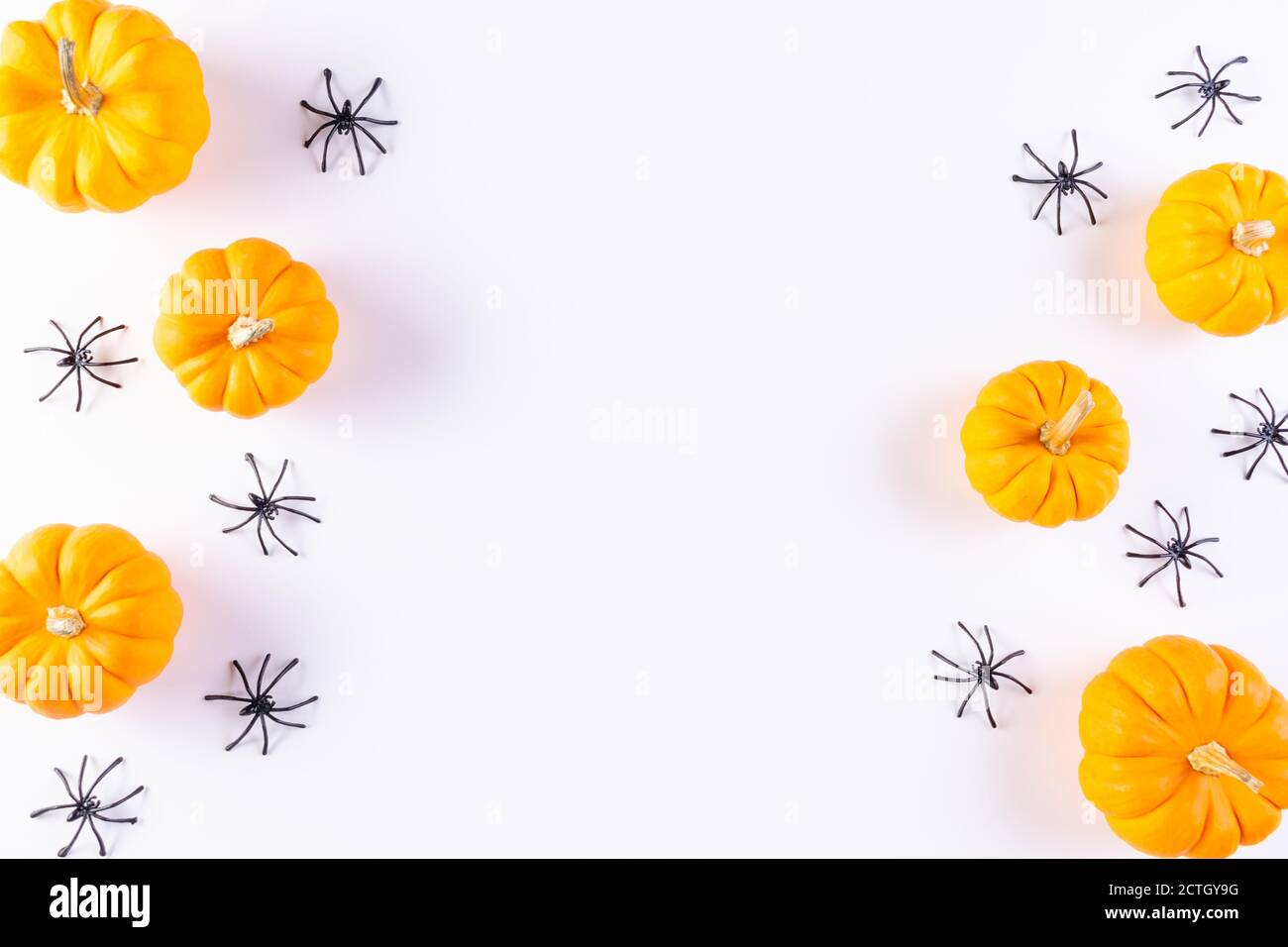 Top view of orange pumpkin and spider on white background with copy ...