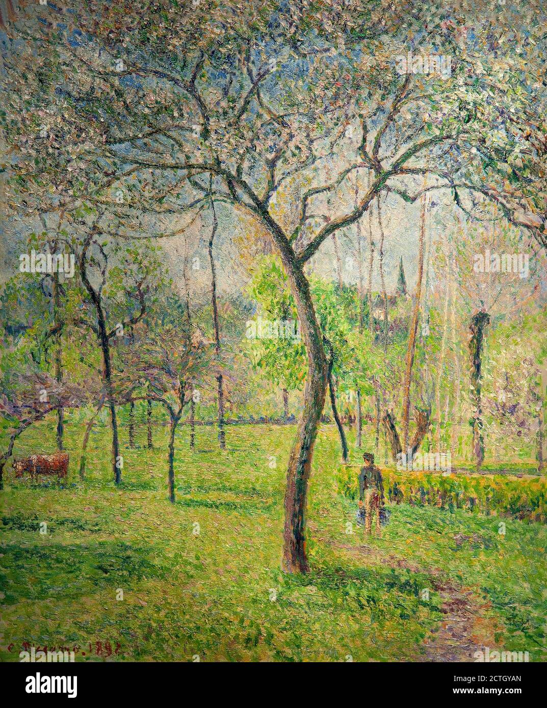 Camille Pissarro 1830-1903. Landscape (fruit)l. 1892. oil painting on canvas cm 65,1 x 54,3. Stock Photo