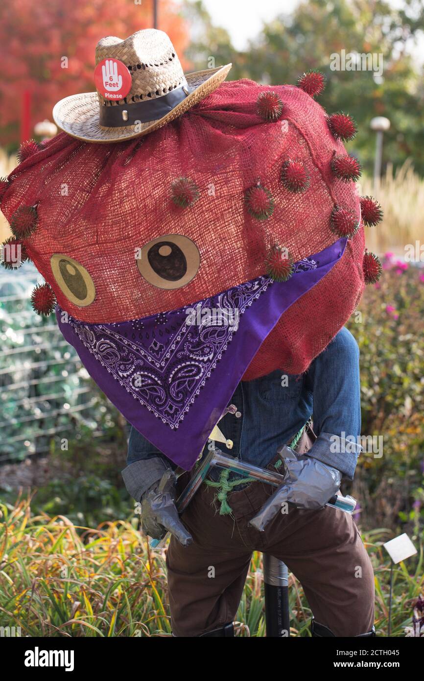 'Covid the Kid' by Bachman's Lyndale, an entry in the 2020 scarecrow contest at the Minnesota Landscape Arboretum. Stock Photo