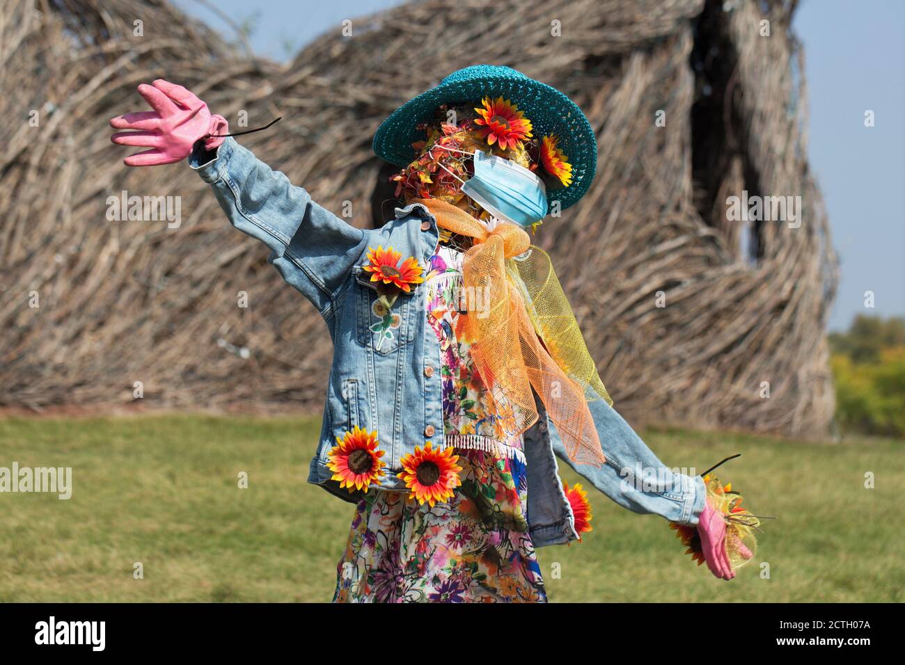 'Miss Chrysanthemum', by 'Wendy C', a scarecrow wearing a mask, at the 2020 scarecrow contest at the Minnesota Landscape Arboretum. Stock Photo