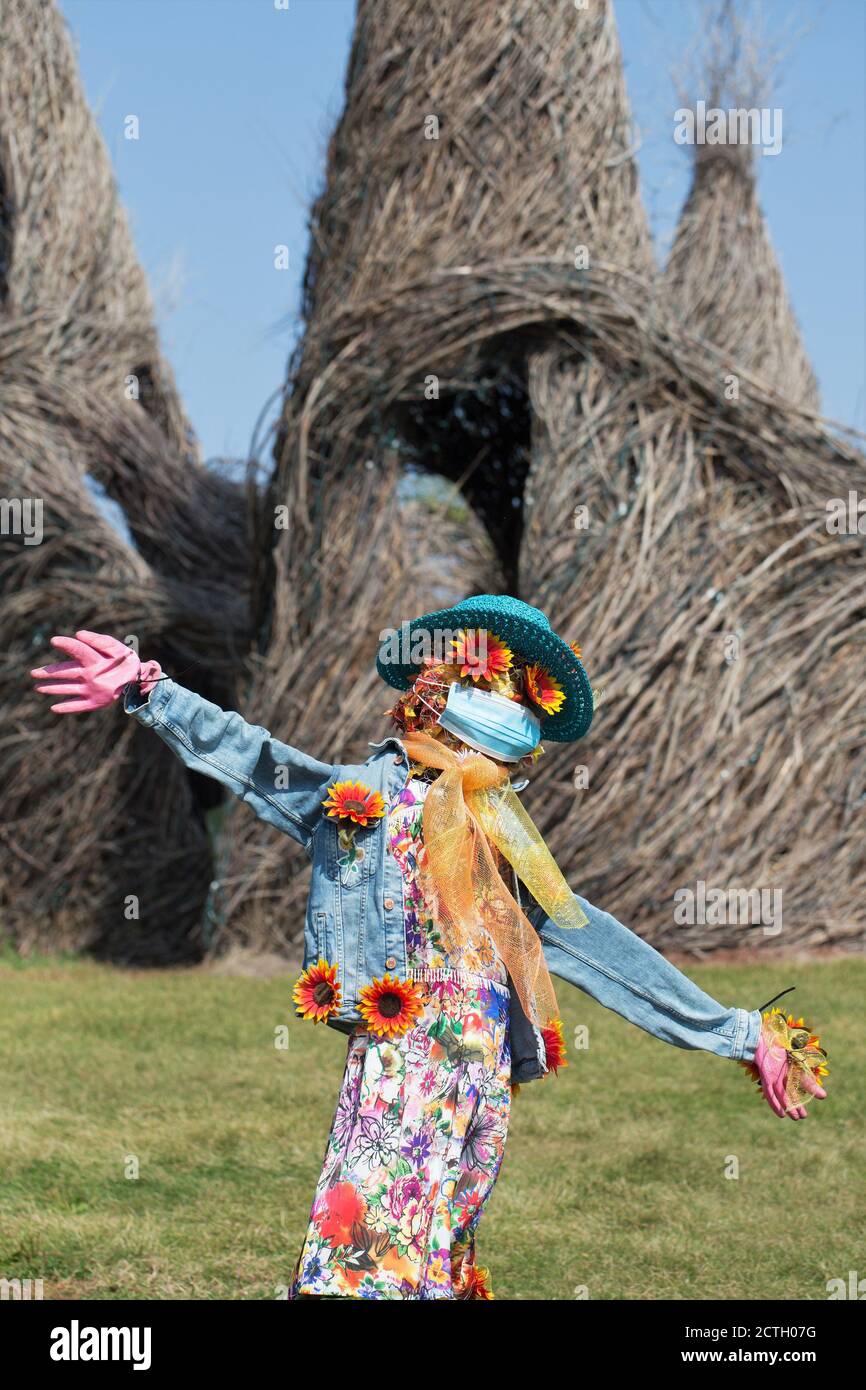 'Miss Chrysanthemum', by 'Wendy C', a scarecrow wearing a mask, at the 2020 scarecrow contest at the Minnesota Landscape Arboretum. Stock Photo