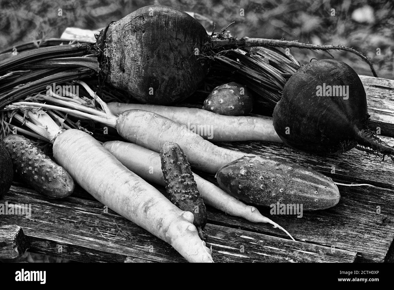 Photo cucumbers, vegetables, beets, carrots,vegetables Stock Photo