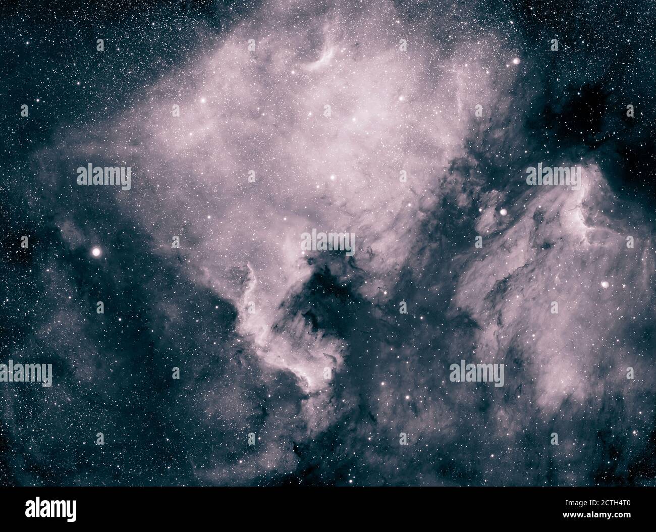 The vast North America Nebula, NGC 7000 in the constellation Cygnus, an emission nebula photographed in monochrome hydrogen alpha and 2,500 light years from Earth. The area below and to left of the ‘gulf’ is the Cygnus Wall and separate nebula cloud to right, separated by interstellar dust, is the Pelican Nebula, IC 5070. Long exposure photograph from London, UK with narrowband Ha filter on Atik 11000 large format ccd camera. Credit: Malcolm Park/Alamy. Stock Photo