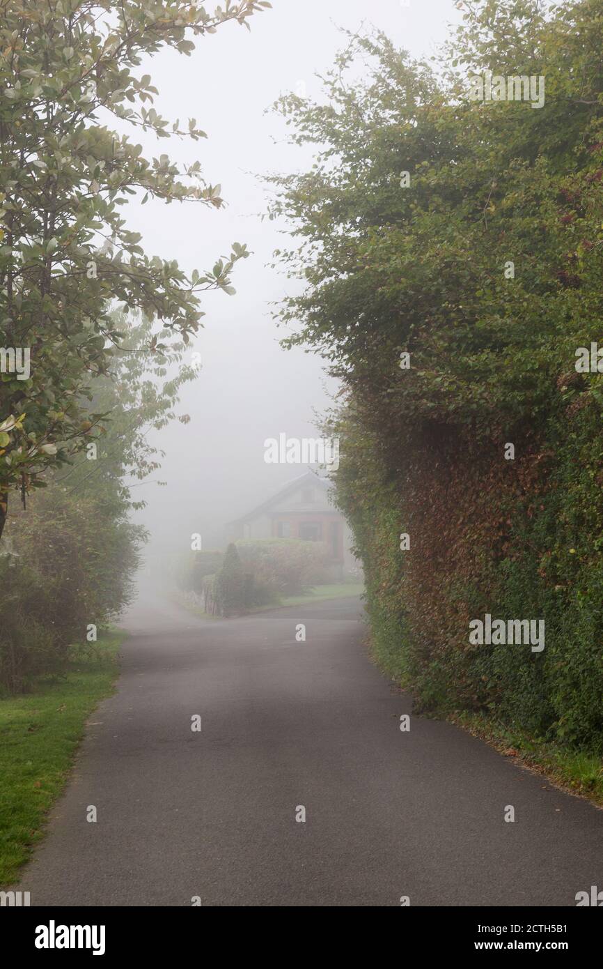 Mist in the lane at Rhu,  Scotland with the pathway and a cottage in the background. Stock Photo