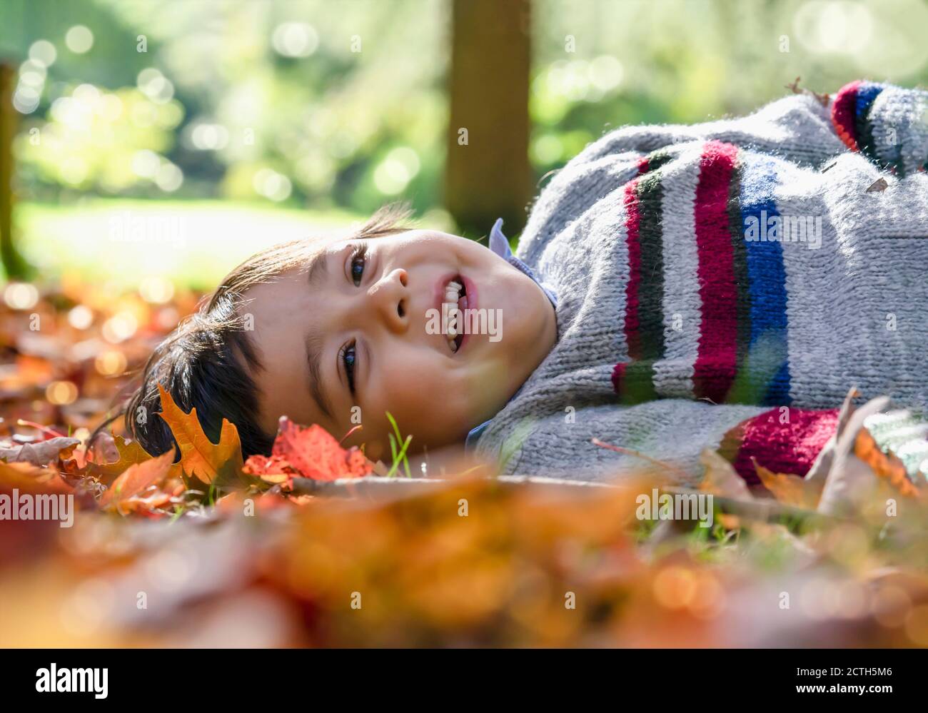 Cropped shot of kid boy laying down on leaves falling under the tree in sunny day ,Child having fun lying on autumn leaves and looking up at sky with Stock Photo