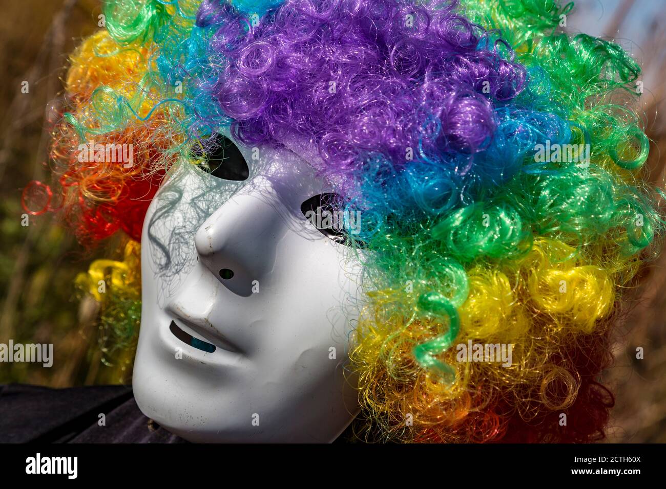 Halloween mask and colorful wig Stock Photo