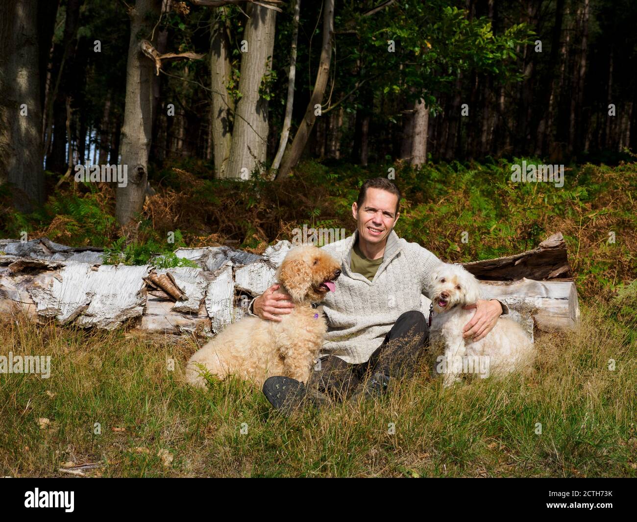 Man sat with dogs in forest, Thetford Forest, Norfolk, UK Stock Photo