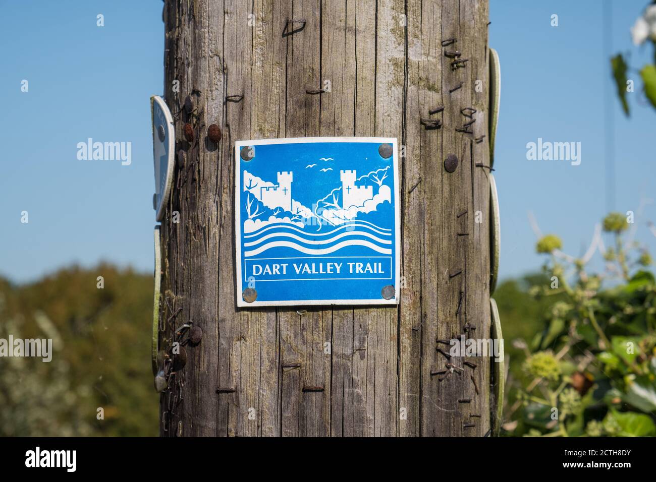 Sign for the Dart Valley trail attached to a wooden telegraph pole in Dittisham, South Hams, Devon, UK Stock Photo