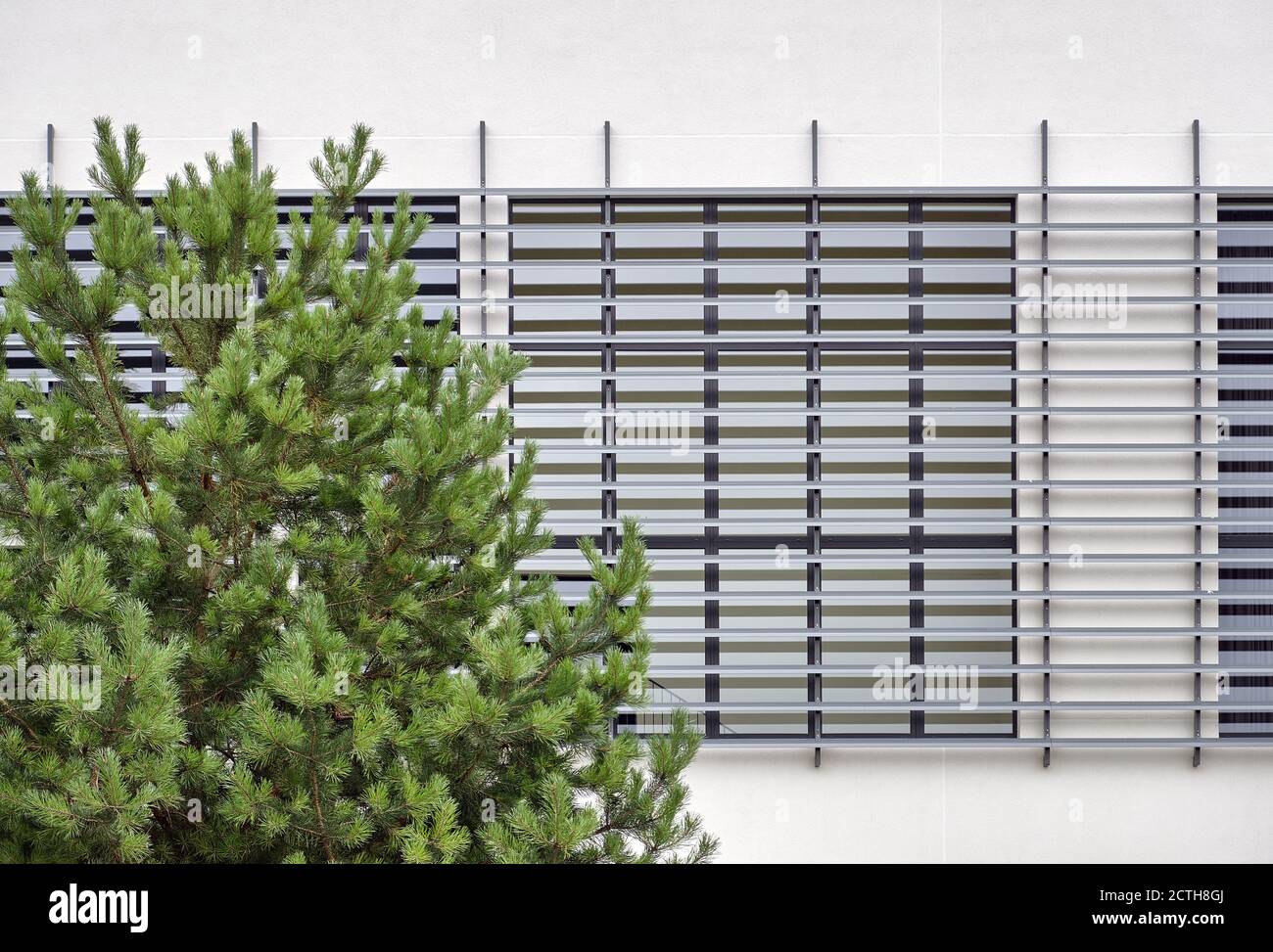 Abstract modern architecture detail with green pine tree in foreground Stock Photo