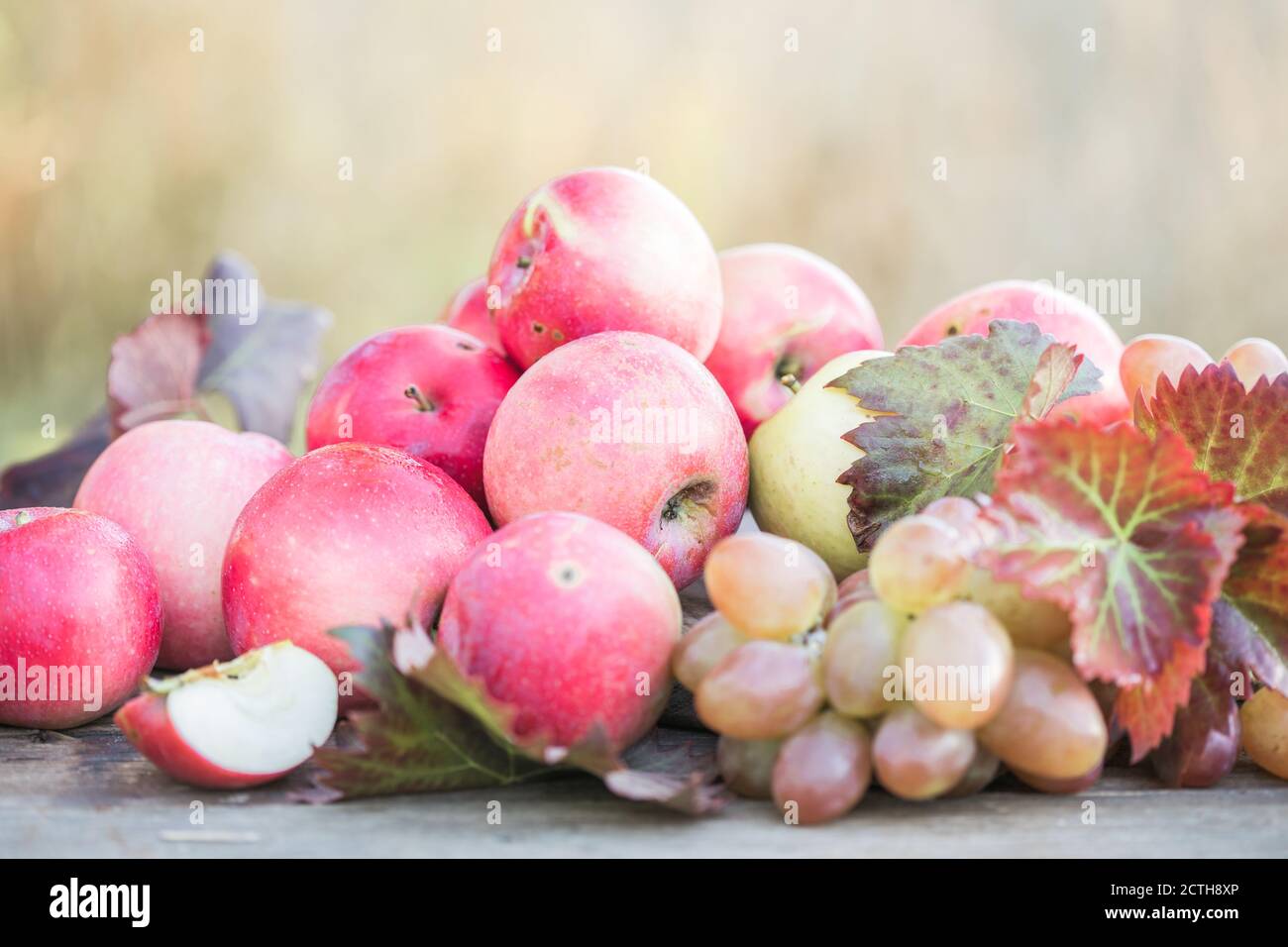 Apple Red Raps Healthy organic apples, grapes on wooden table in the garden. Apple ...