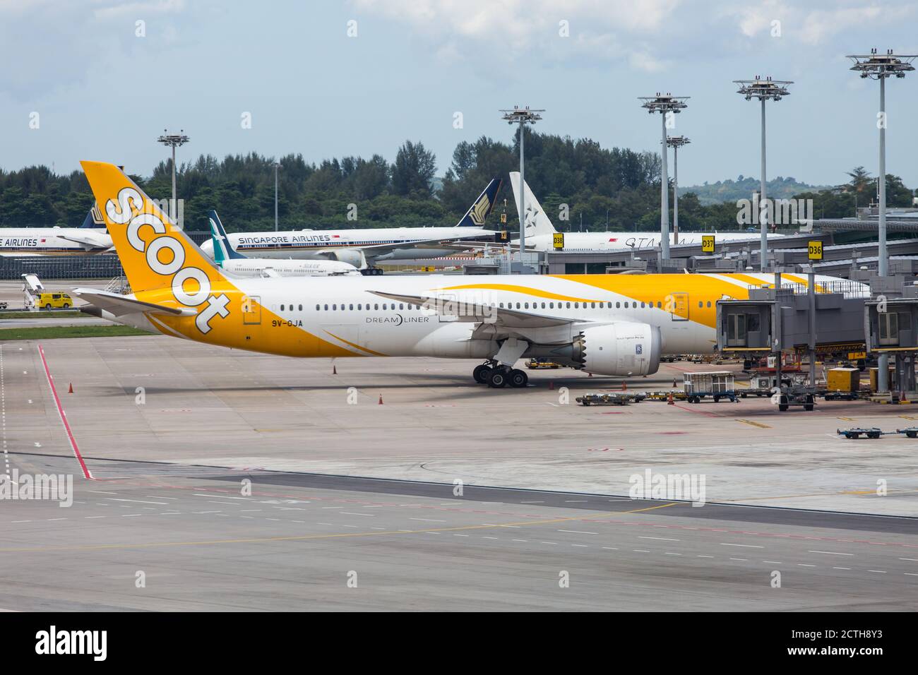 Like many other airline brands, Scoot aircraft is grounded as the pandemic continues to hit the airline industry for months. Singapore. Stock Photo