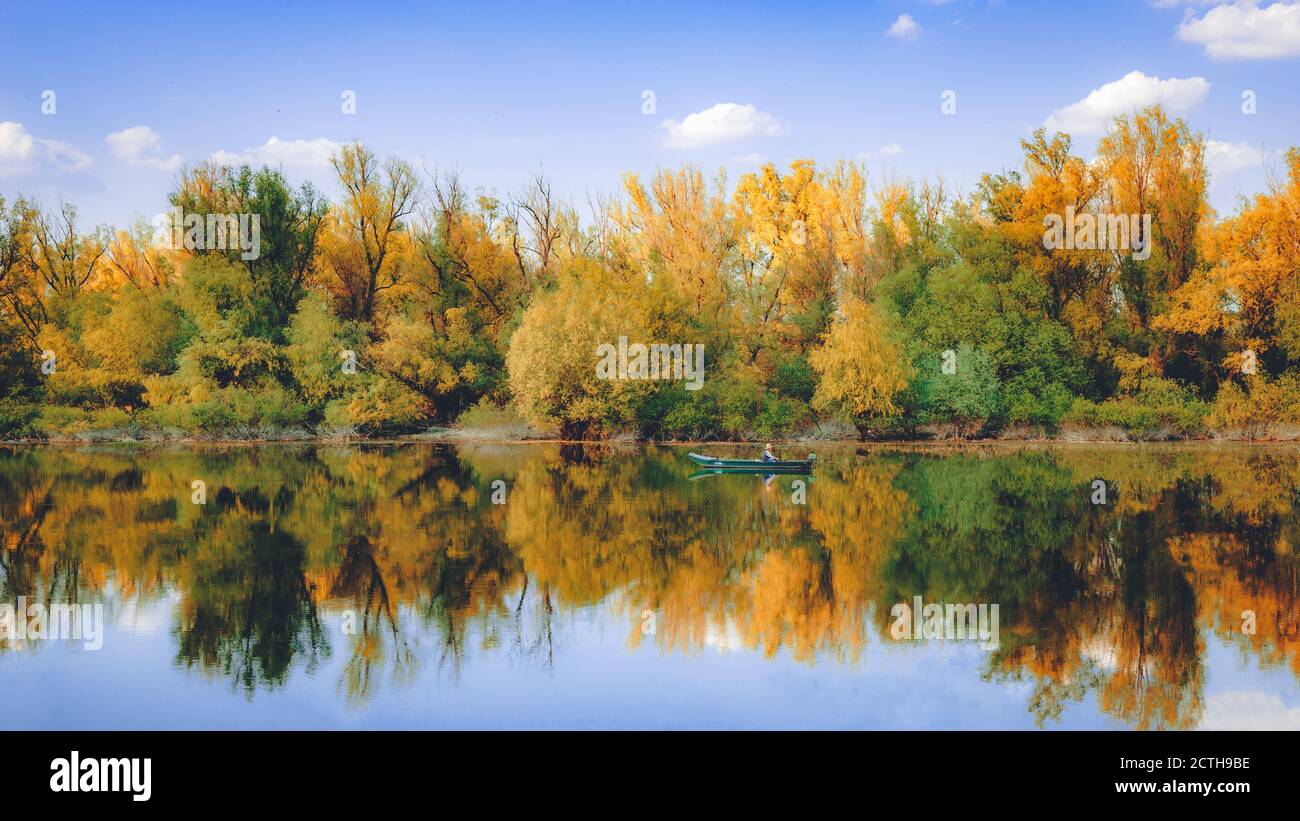 Mesmerizing shot of the lake in the forest and trees reflected on the ...
