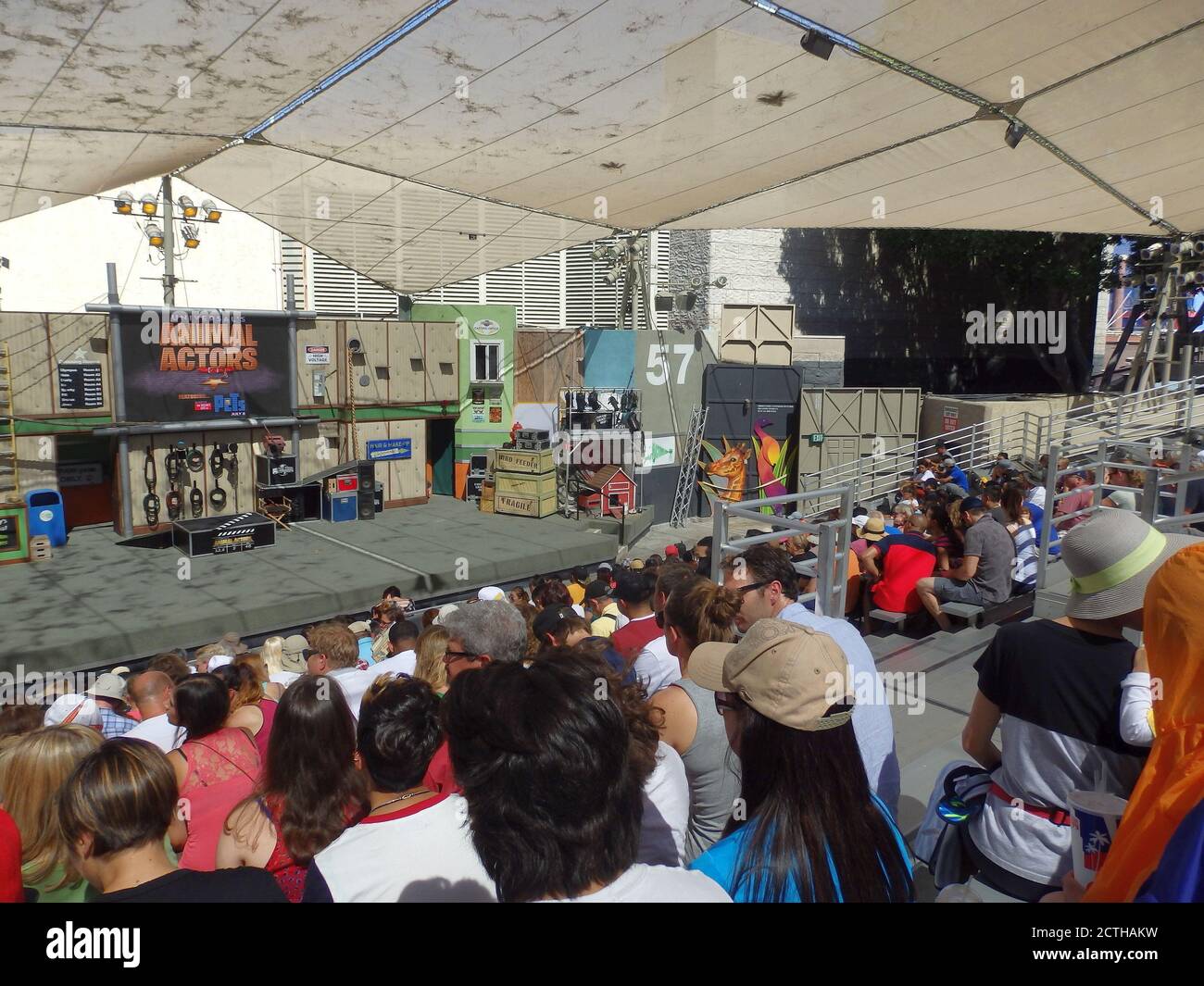 Animal Actors stage show at Universal Studios, Universal City, California,  United States Stock Photo - Alamy