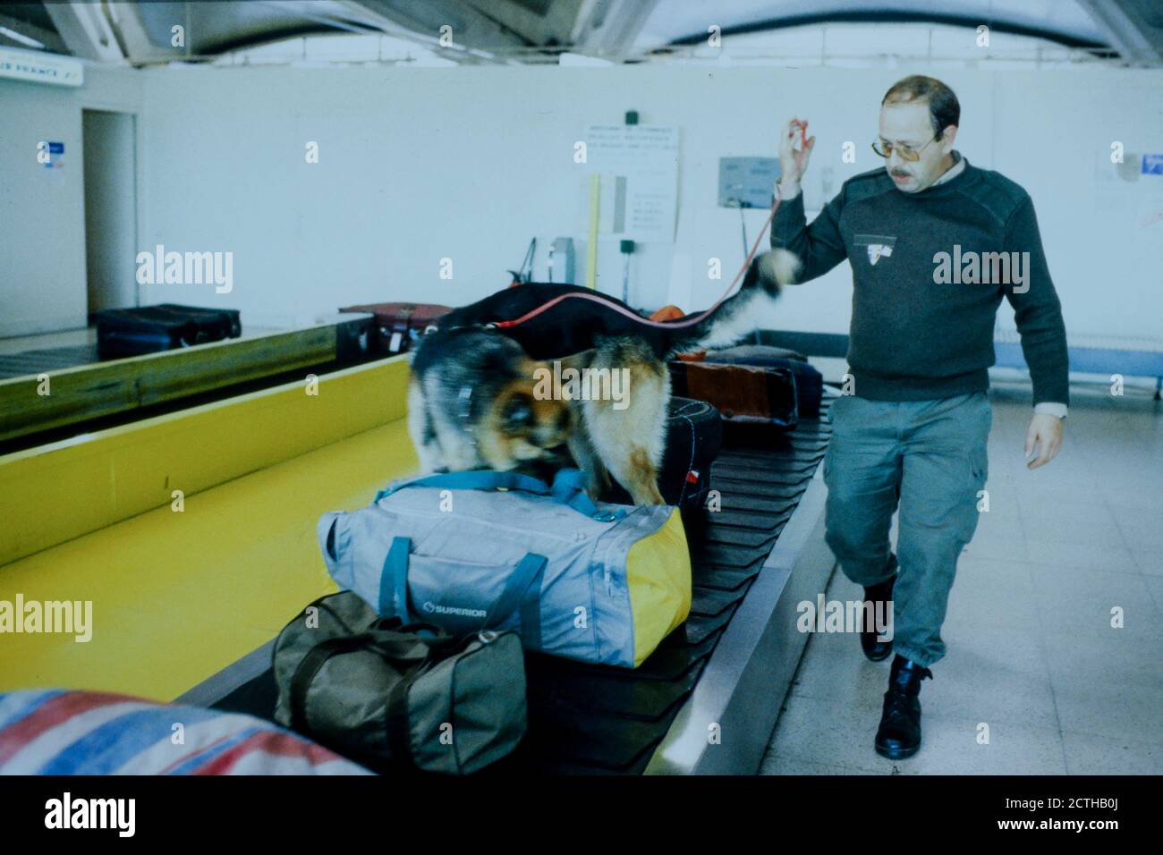 Drug sniffer dog looks at passengers luggage, Saint-Exupery airport, France, 90ies Stock Photo