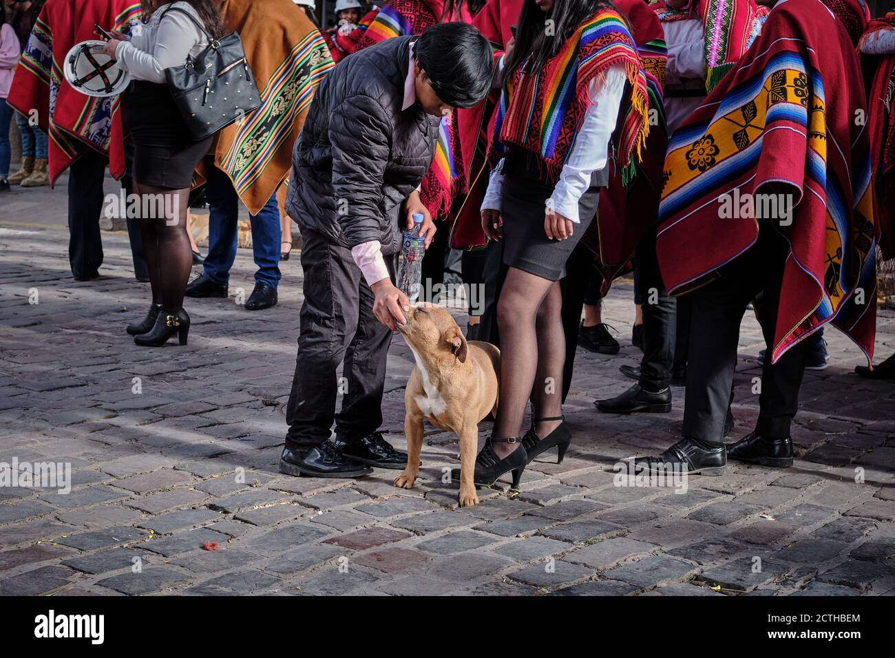 An adult male man stoops to pet a dog during the Inti Raymi'rata sun festival over the winter solstice, Cusco, Peru Stock Photo