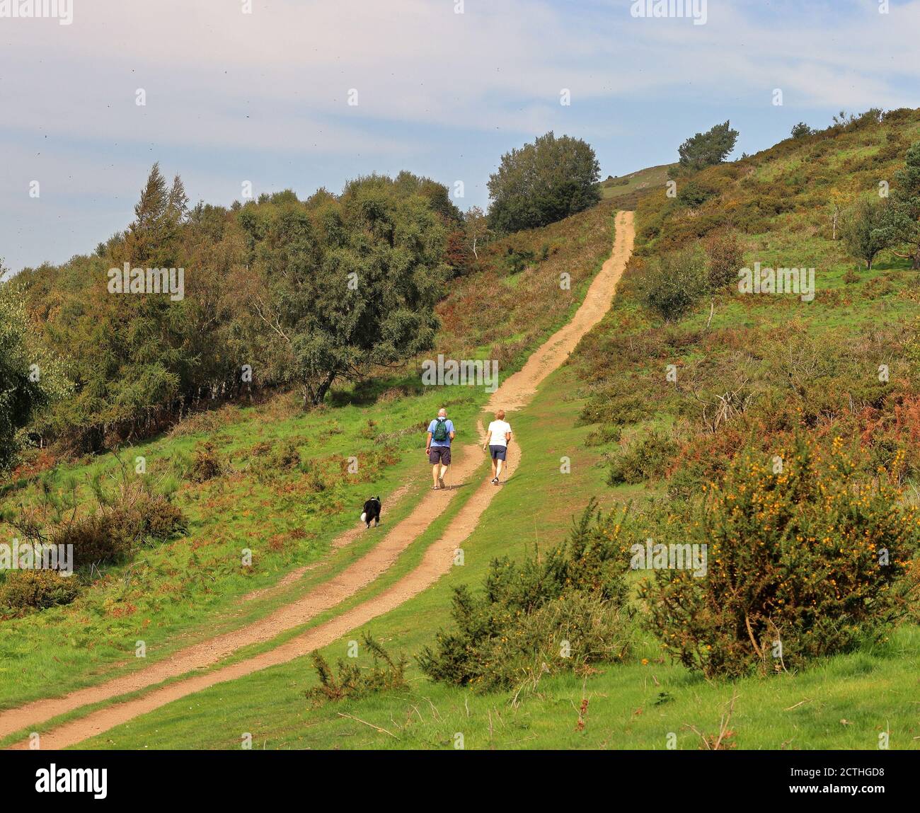 An English Rural Landscape ion the Malvern Hills in Worcestershire