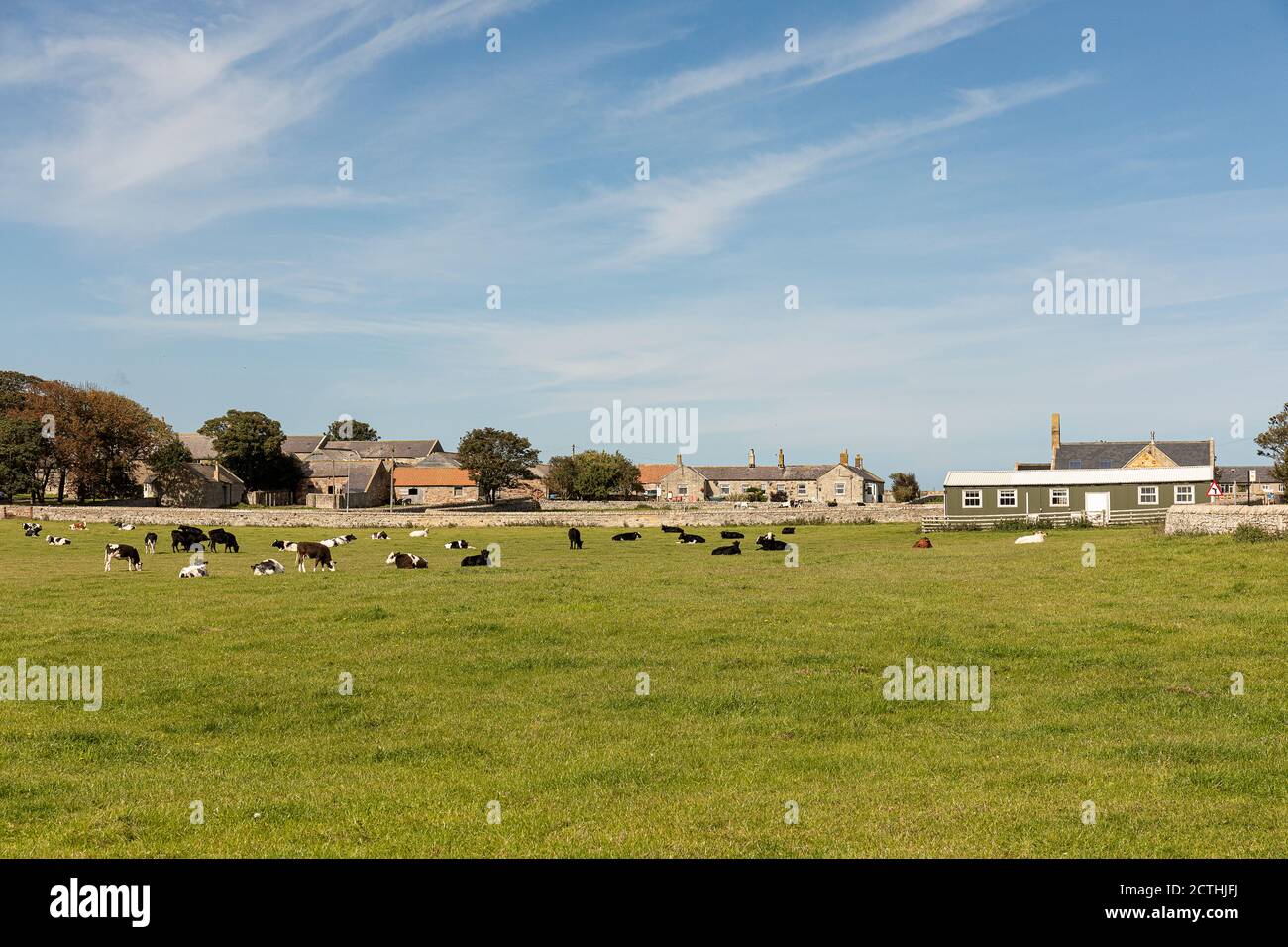 Boulmer Northumberland Stock Photo