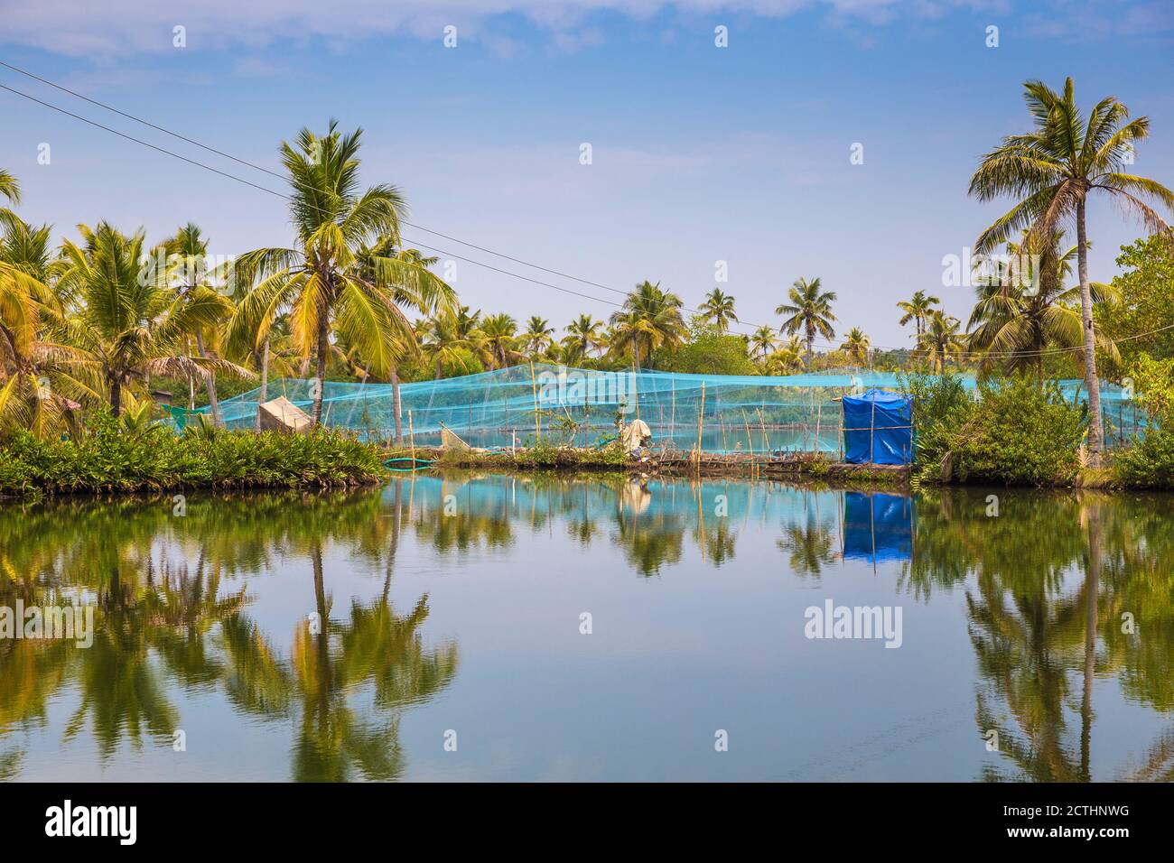 India Kerala Kollam Backwater Fish Farm Stock Photo Alamy