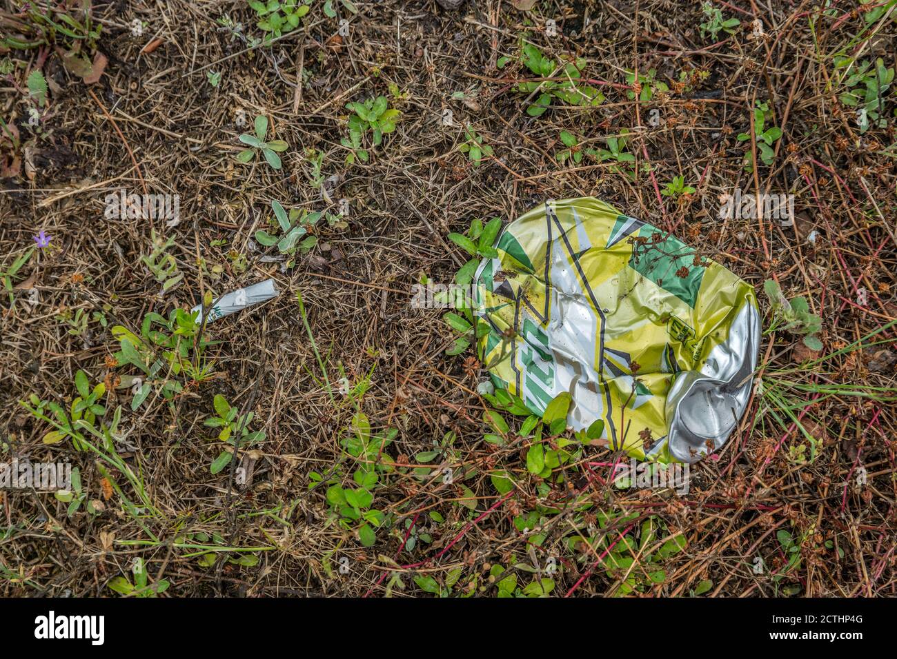 Crumpled up mountain dew soda can discarded on the ground in a field with a cigarette alongside polluting the environment Stock Photo