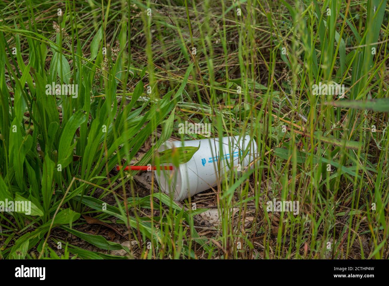 Styrofoam cup, plastic cup hires stock photography and images Alamy