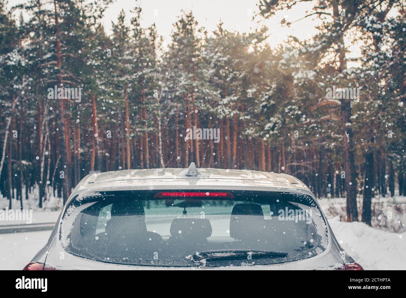 Auto parked in forest at winter. Snow time. Stock Photo