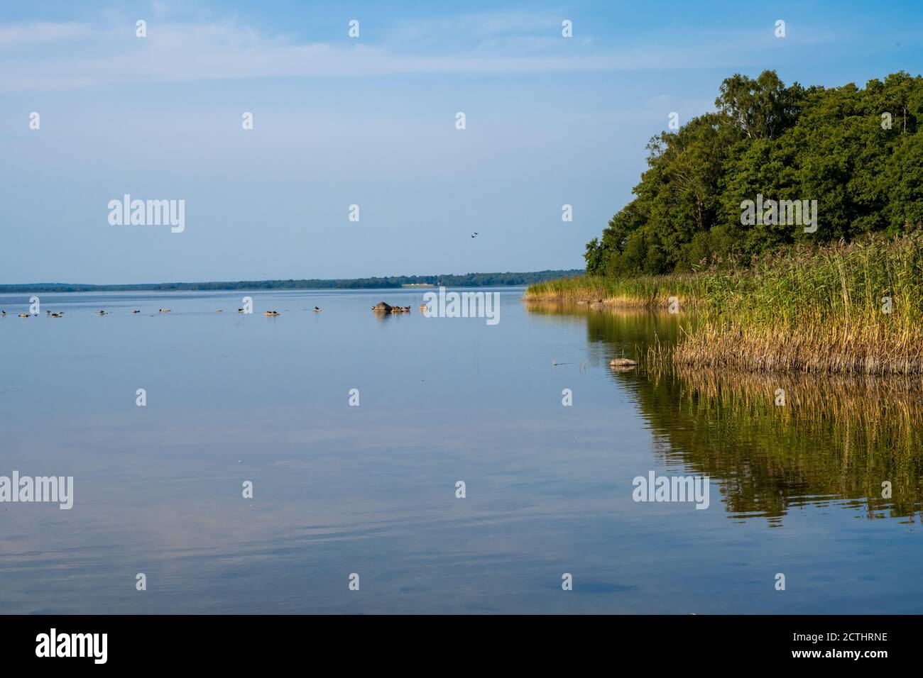 Beautiful scenery at a lake one of the latest days of summer. Picture ...