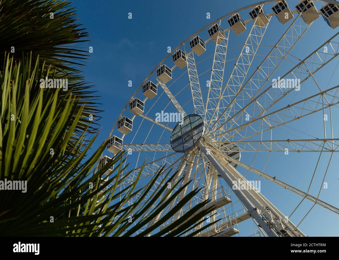 Carnival Ferris Wheel with Clean Skies with Empty Space Close up with blue sky and clouds in background and palm tree leaves Stock Photo
