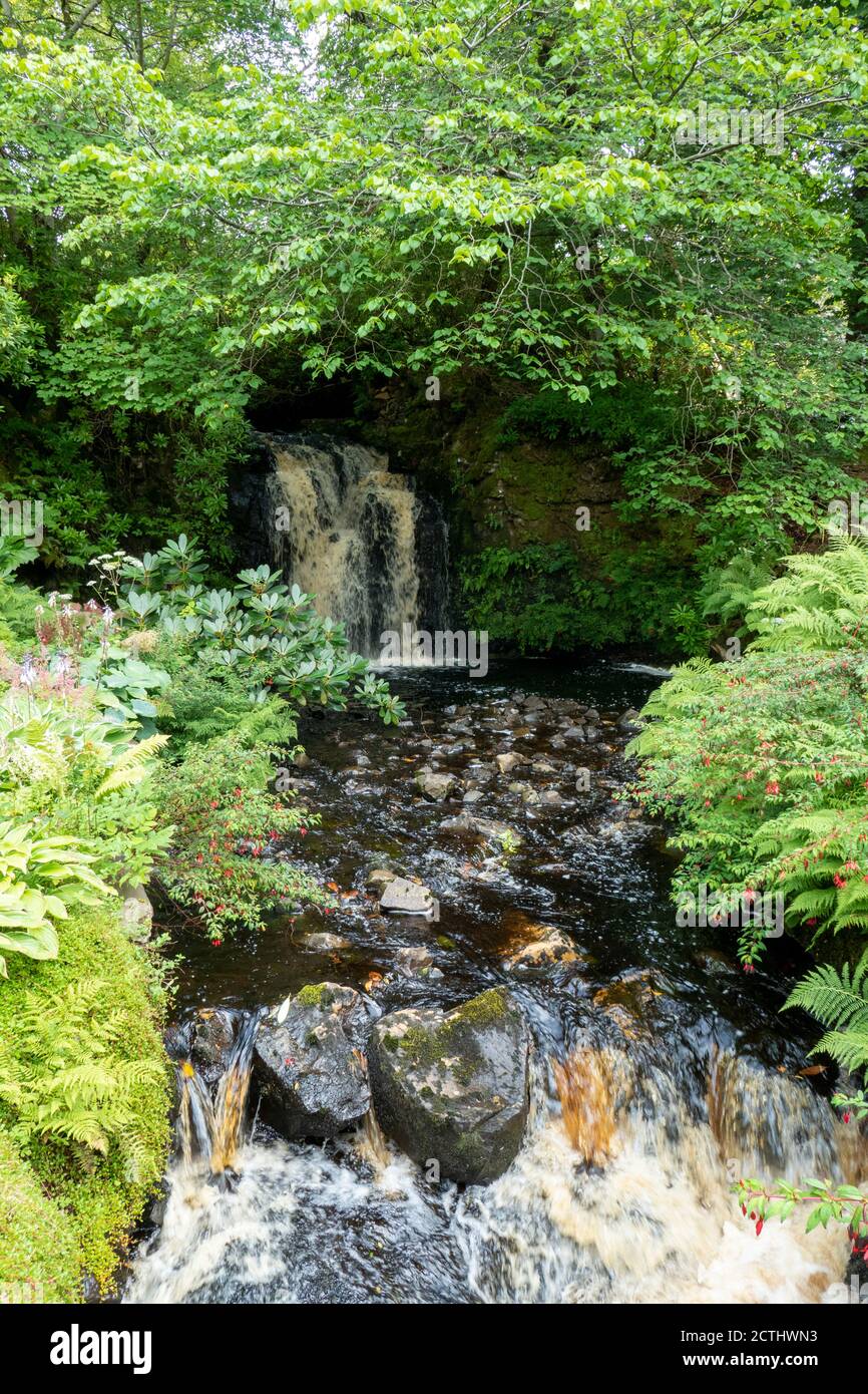 Wasserfall mit gold schimmerndem Wasser, auf der Isle of Skye Stock Photo