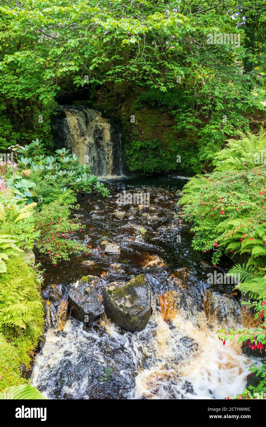 Wasserfall mit gold schimmerndem Wasser, auf der Isle of Skye Stock Photo