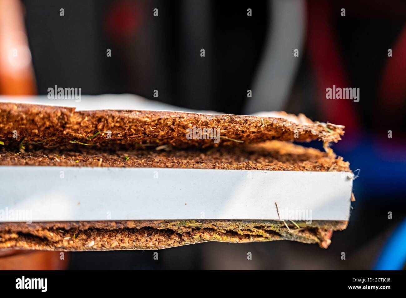 Image showing water damage that can be used for flood, storm, or sewer