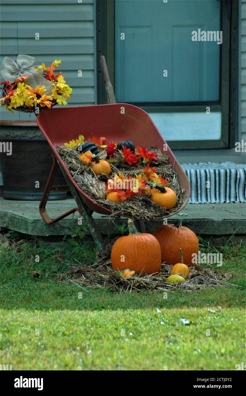 Autumn Scenes 1 Stock Photo