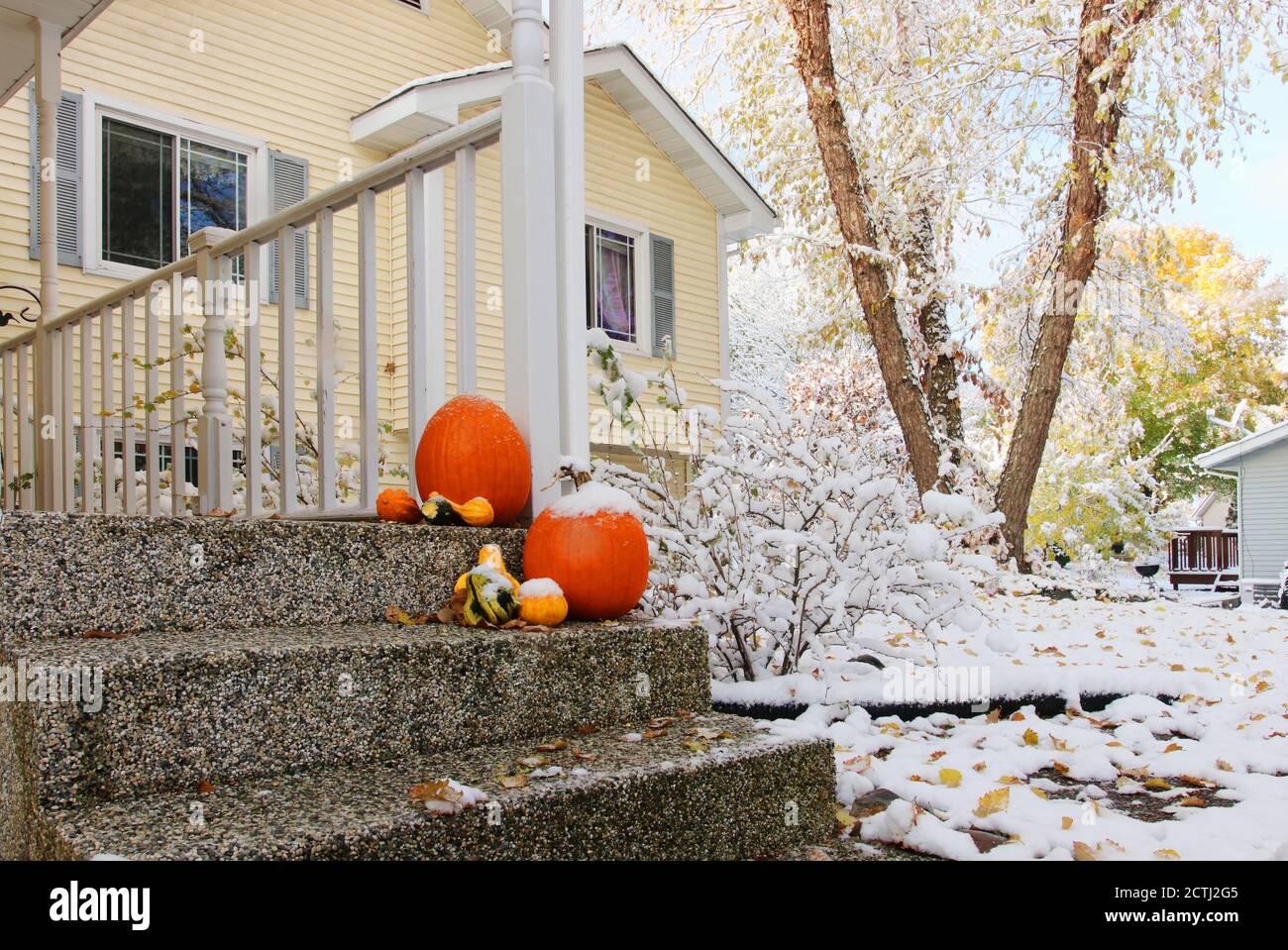 Seasonal house outdoor decoration. Early snow background, climate changing concept. Group of pumpkins on a private house porch stairs as a decoration Stock Photo