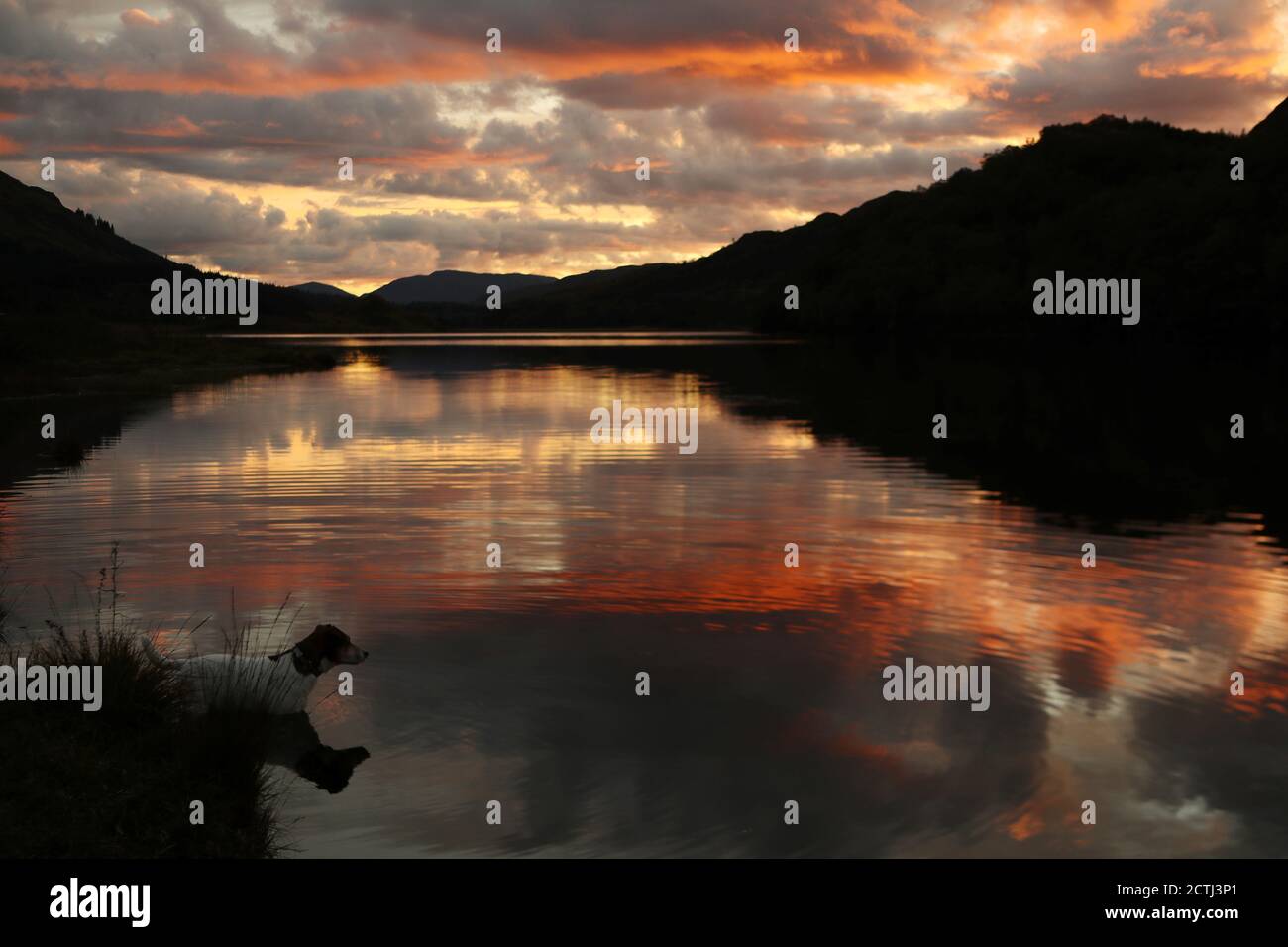 Lubhair High Resolution Stock Photography And Images Alamy