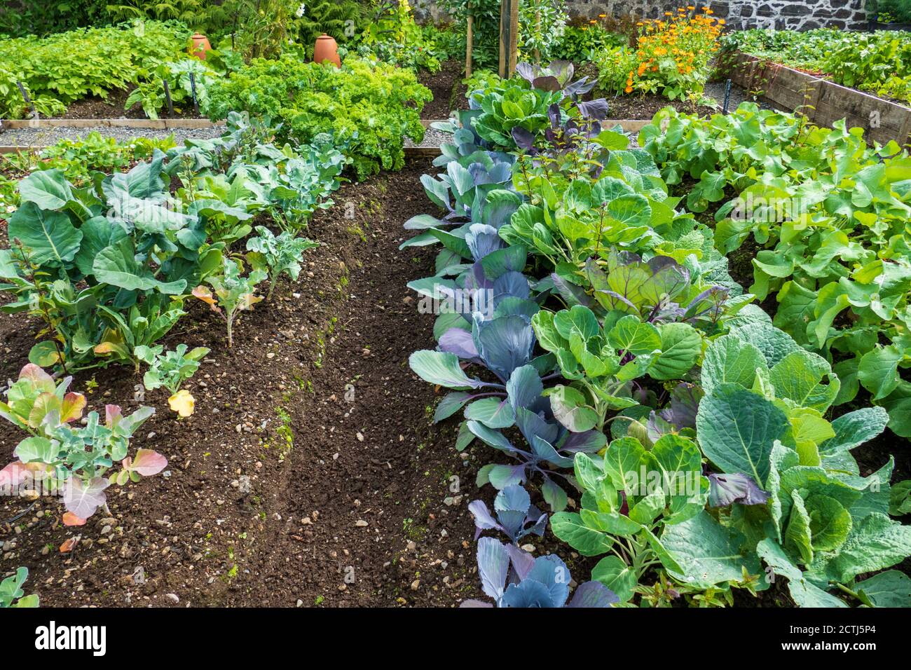 Rote Erde High Resolution Stock Photography and Images - Alamy