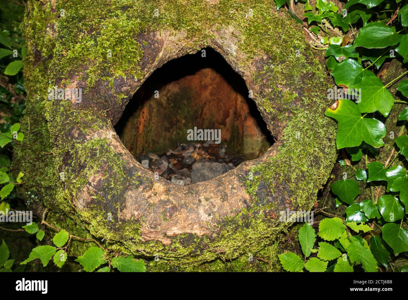 Versteck hi-res stock photography and images - Alamy