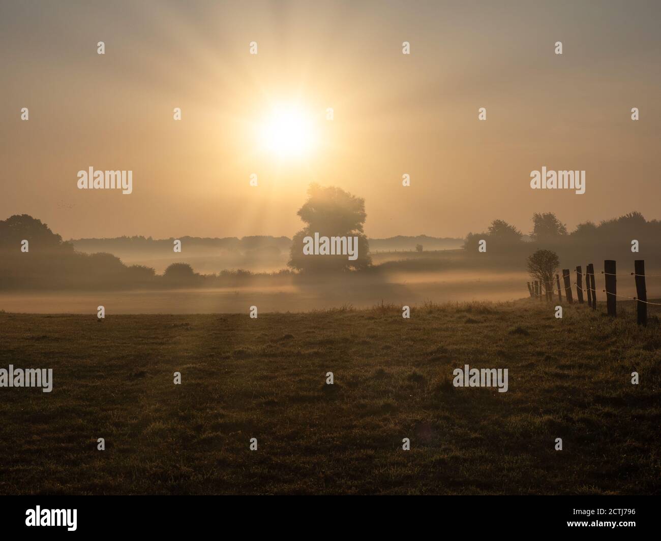 on a meadow morning fog rises in the sunrise Stock Photo - Alamy