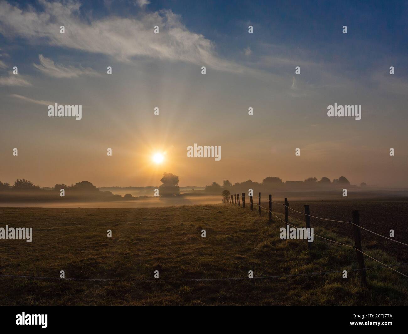 on a meadow morning fog rises in the sunrise Stock Photo - Alamy