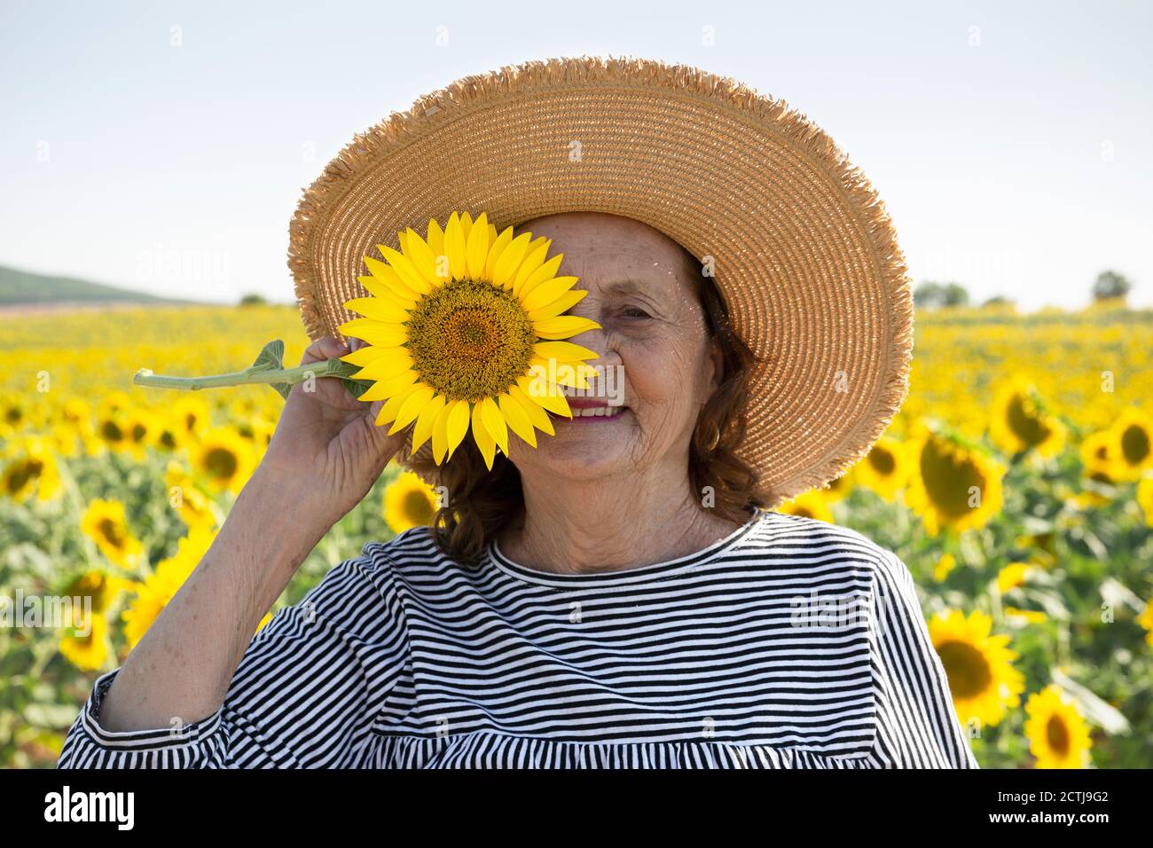 Portrait of an elderly woman with a sunflower on her face. She is outdoors. Stock Photo