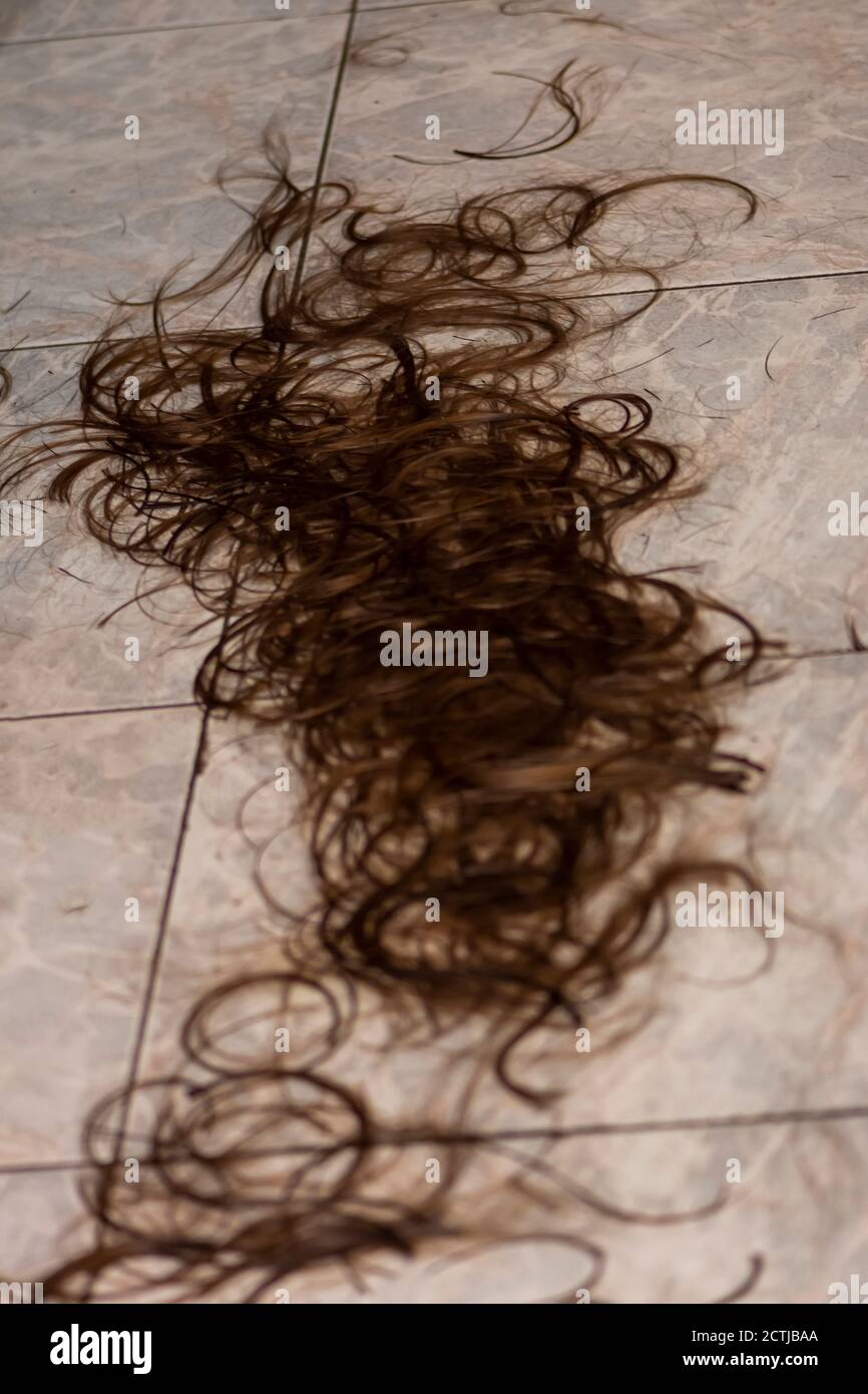 photo Cut Hair On Floor https www alamy com brown cut hair on the floor in salon image376573522 html