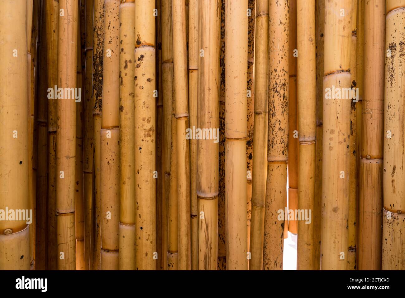 Kota Kinabalu, Sabah: BAMBOO BY THE SEA, a public art installation of 900 bamboos, working as a windchime. Created by Ar. Tressie Yap and Melissa Lo. Stock Photo