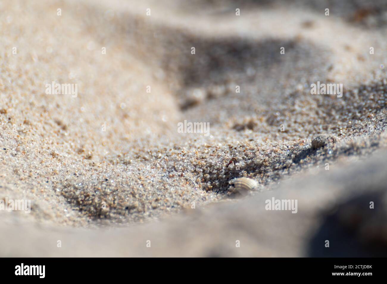 Sand texture grains on beach shore macro with blurred background. White summer concept Stock Photo