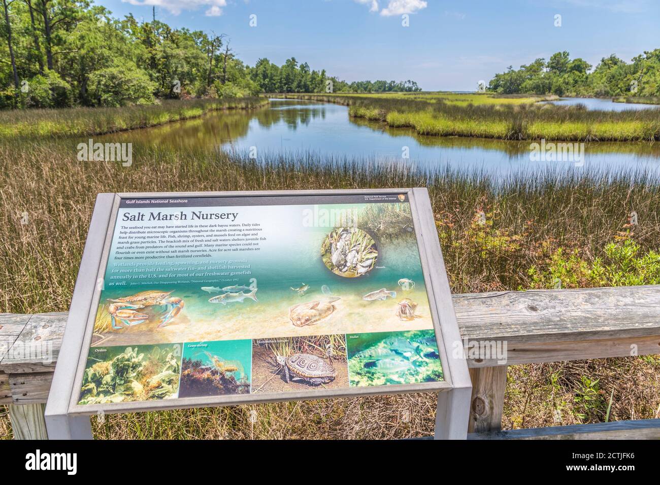 Mississippi bayou hires stock photography and images Alamy