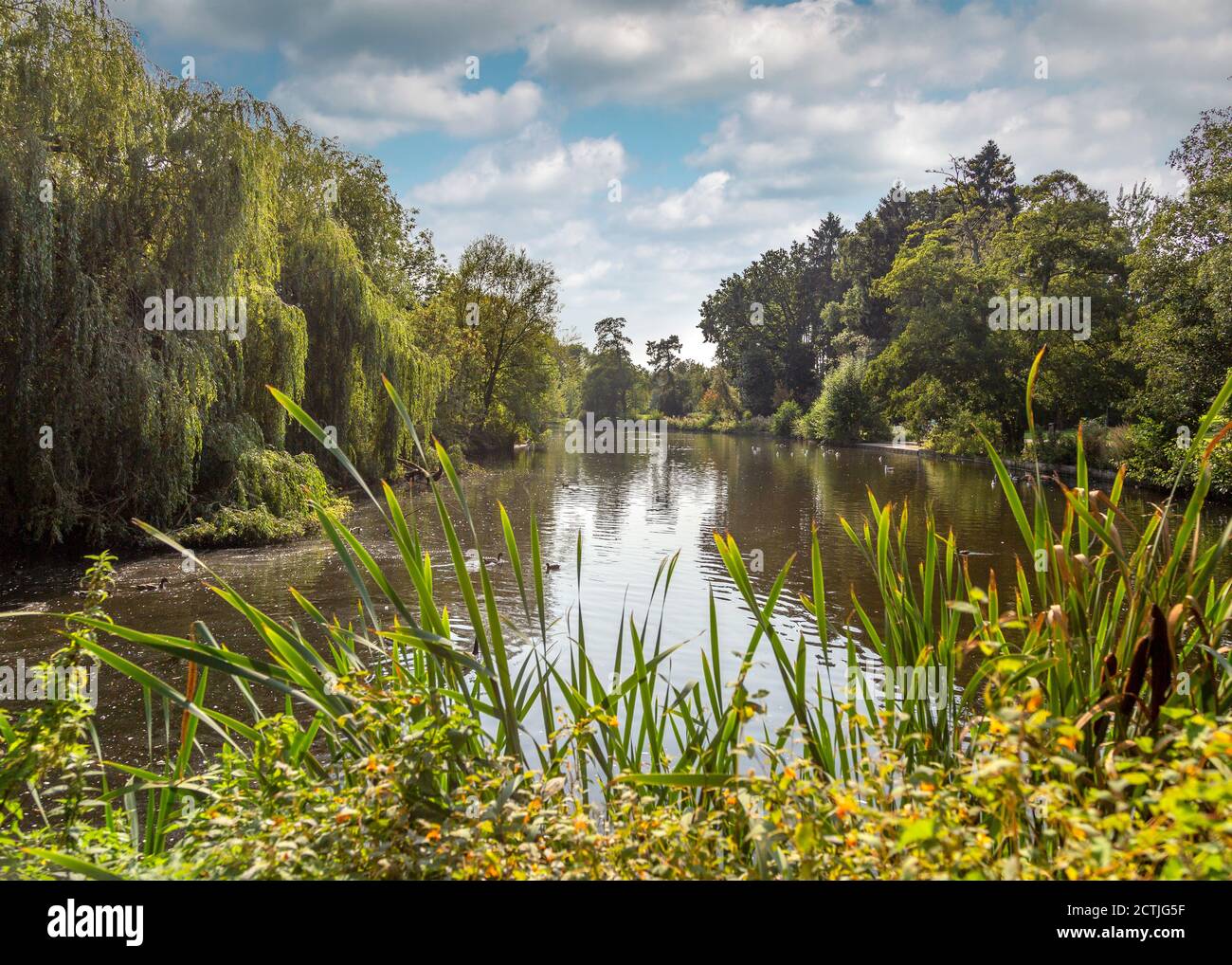 Beautiful Brueton Park in Solihull, West Midlands, England Stock Photo